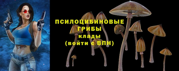 СК Белокуриха