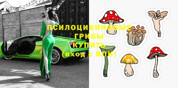 тгк Беломорск