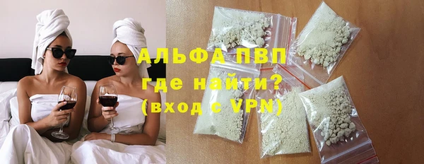 СК Белокуриха