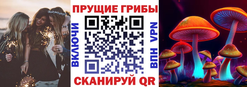 Галлюциногенные грибы Magic Shrooms Болхов